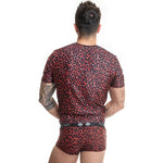 https://dreamlove.gesio.be/productos/imagenes/img_142702_37de808d7a38808b48ed847f1a80ec21_1.jpg