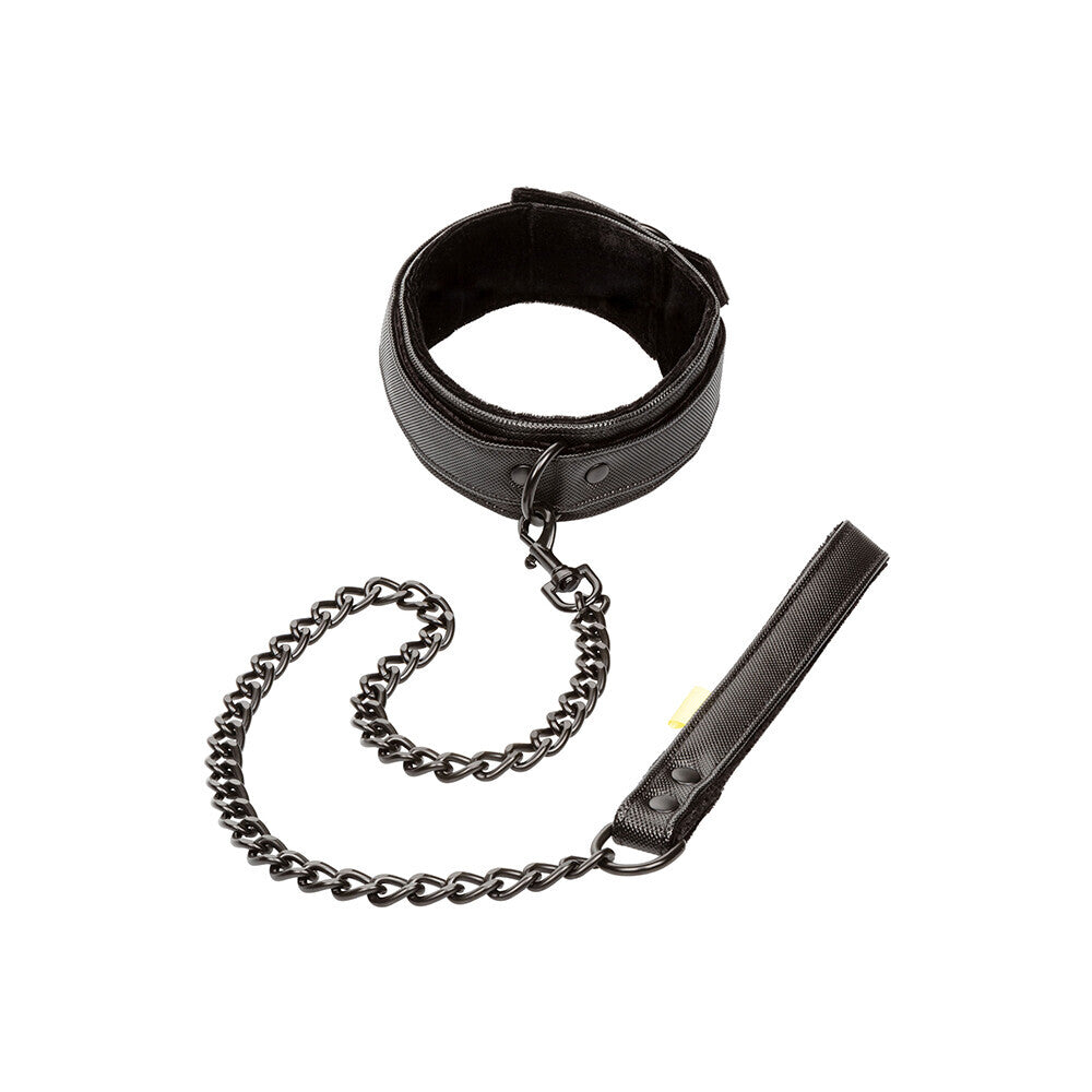 Boundless Collar and Leash